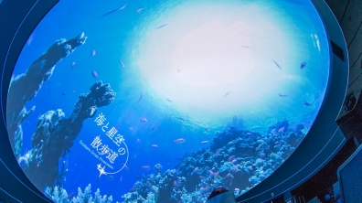 AR/XR・デジタル映像・
イマーシブ映像