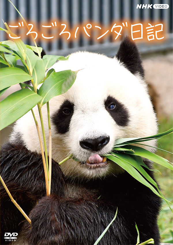 IP・アーカイブス活用