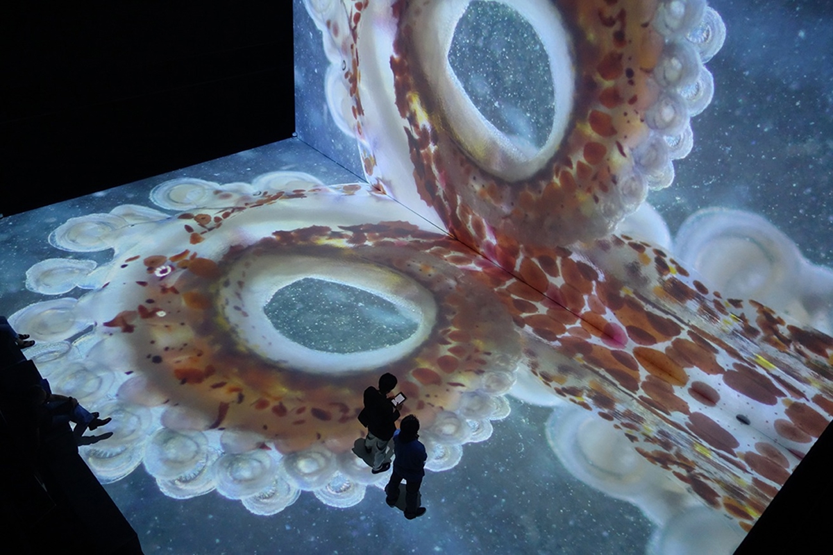 地域プロデュース