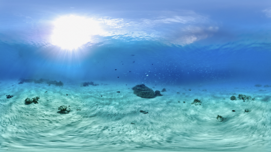 8K・新映像技術