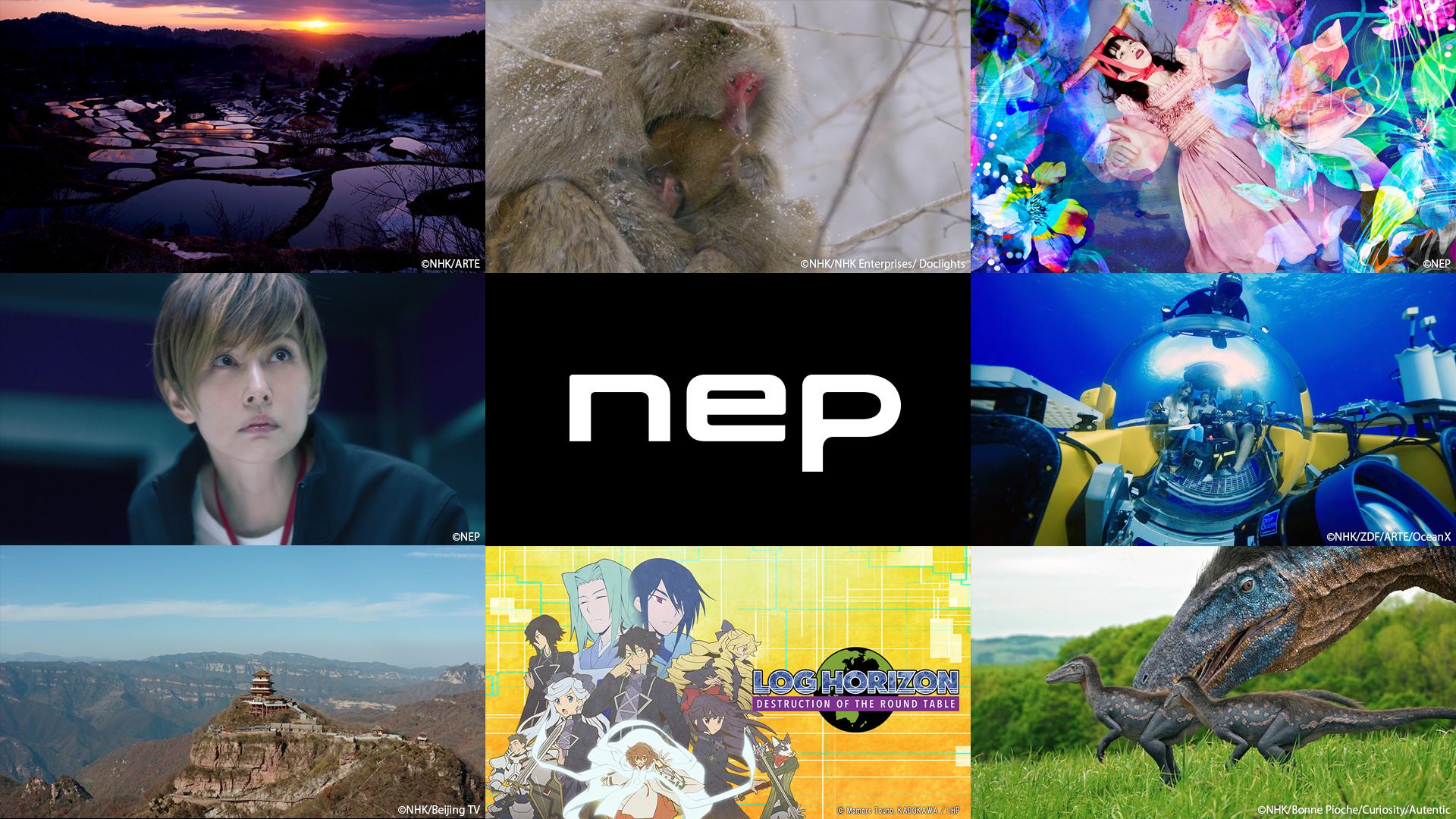 International Co-Productions & Global Content Creation