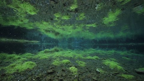 8K　水とめぐる四季～台湾そして北海道