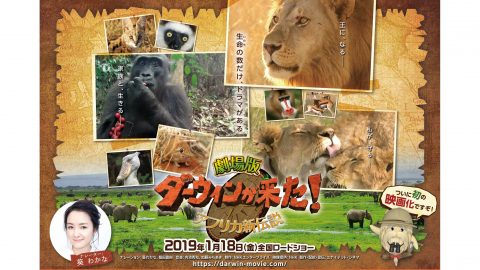 劇場版「ダーウィンが来た！」アフリカ新伝説（2019年）