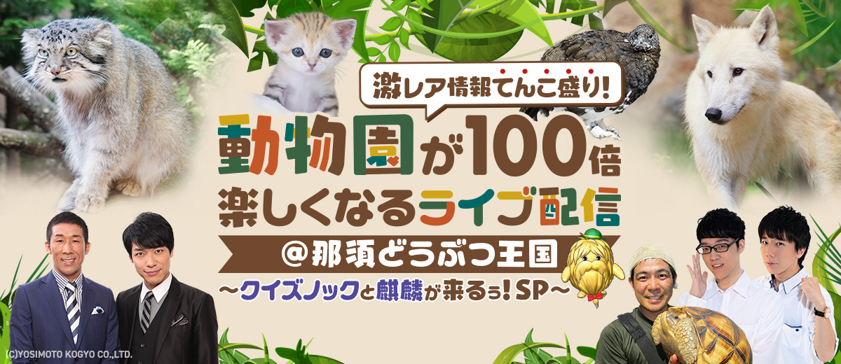 チコちゃんといっしょに課外授業 有料ライブ配信 チコちゃん ダーウィンが来た かわいい動物てんこ盛り わくわくライブ配信 年12 5 Nhkエンタープライズ