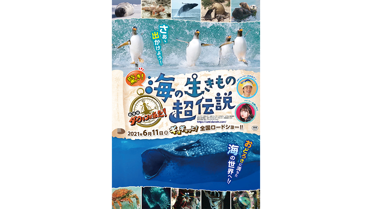 劇場版「ダーウィンが来た！　驚き！海の生き物超伝説」（2021年）